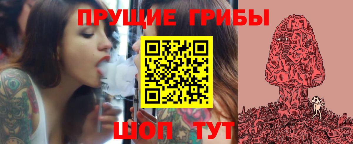 Галлюциногенные грибы Psilocybine cubensis Чехов